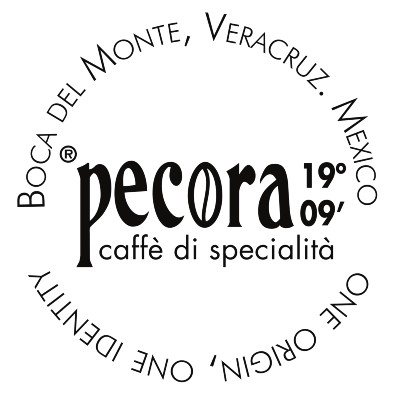 Pecora 19º09